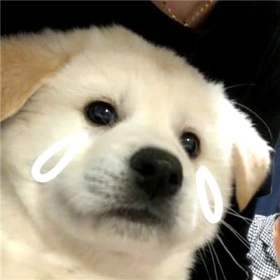 Bryanboy avatar